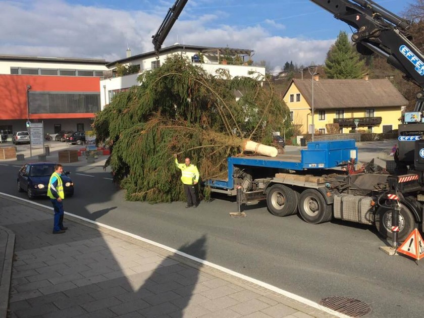 So schaut unser Weihnachtsbaum in Moosburg und Tigring aus.